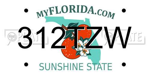 312TZW Florida License Plate