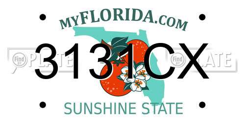 3131CX Florida License Plate