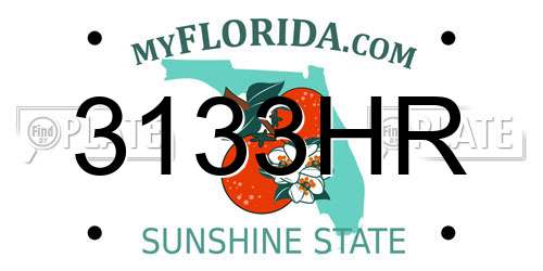 3133HR Florida License Plate