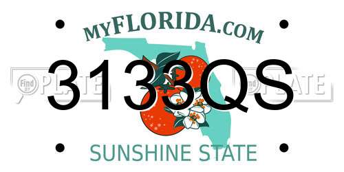 3133QS Florida License Plate