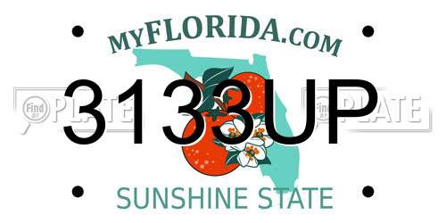 3133UP Florida License Plate