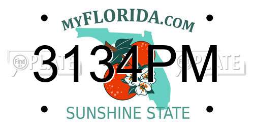 3134PM Florida License Plate