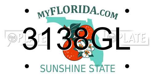 3138GL Florida License Plate