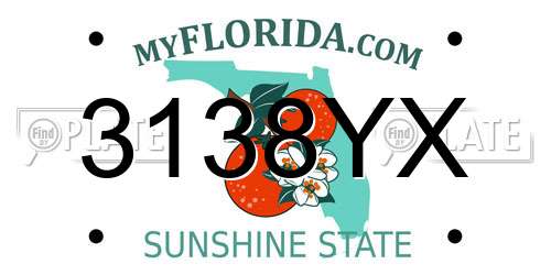 3138YX Florida License Plate