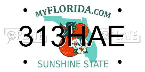 313HAE Florida License Plate