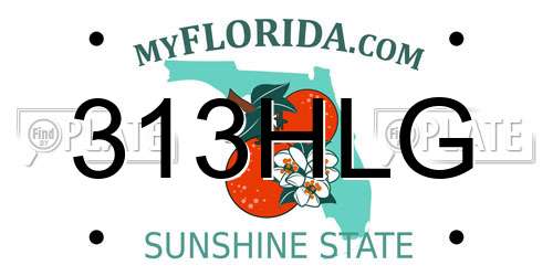 313HLG Florida License Plate