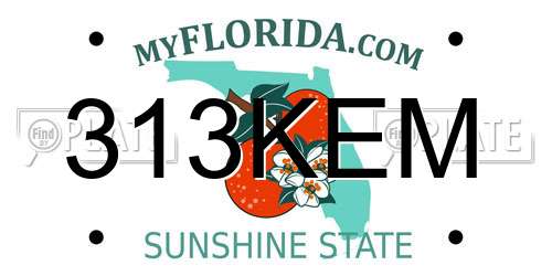 313KEM Florida License Plate