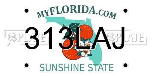 313LAJ Florida License Plate