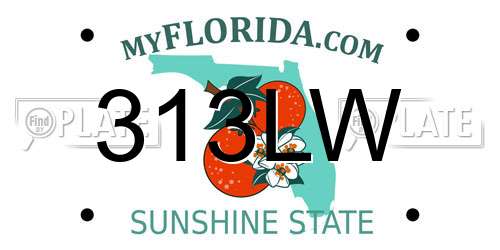 313LW Florida License Plate