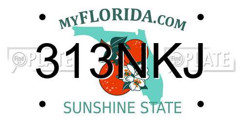 313NKJ Florida License Plate