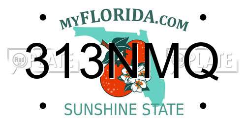 313NMQ Florida License Plate