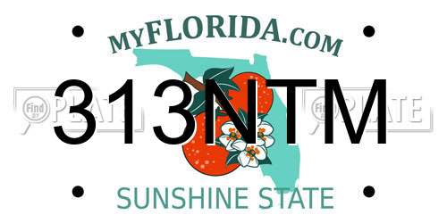 313NTM Florida License Plate
