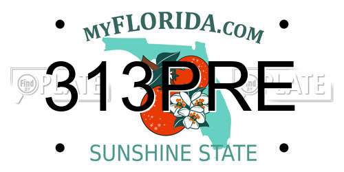 313PRE Florida License Plate