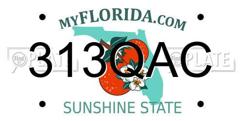 313QAC Florida License Plate