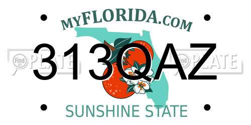 313QAZ Florida License Plate