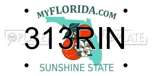 313RIN Florida License Plate