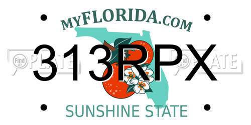 313RPX Florida License Plate