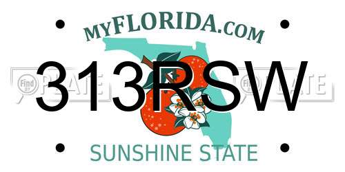 313RSW Florida License Plate