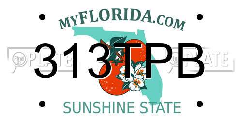 313TPB Florida License Plate
