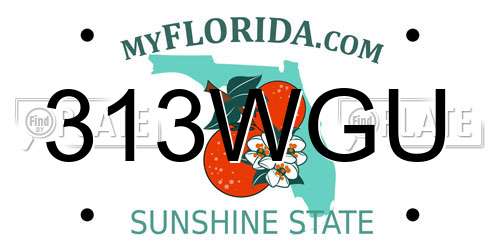 313WGU Florida License Plate