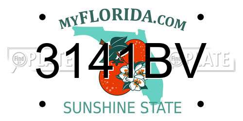 3141BV Florida License Plate