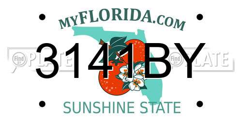 3141BY Florida License Plate