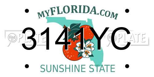 3141YC Florida License Plate