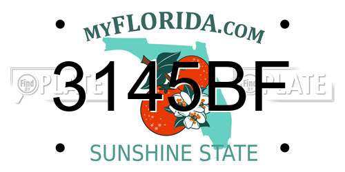 3145BF Florida License Plate