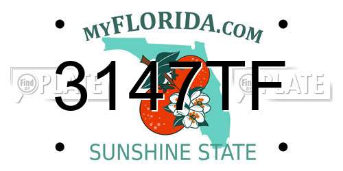 3147TF Florida License Plate