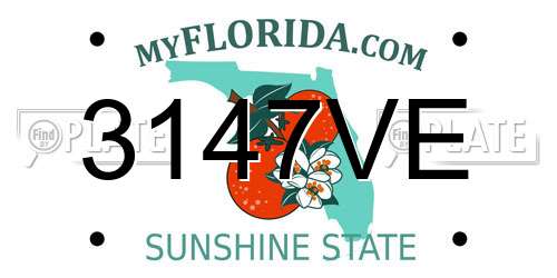 3147VE Florida License Plate
