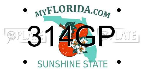 314GP Florida License Plate