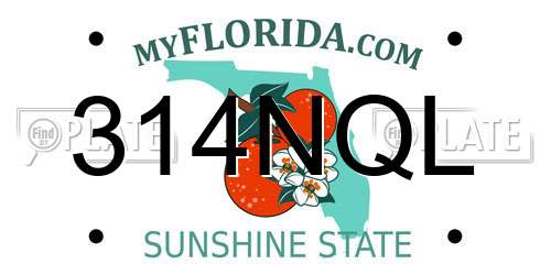 314NQL Florida License Plate