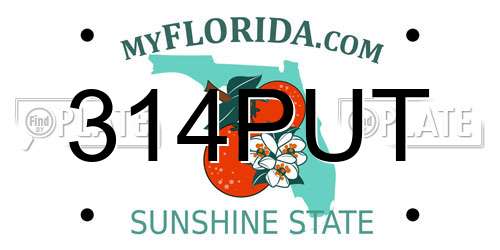 314PUT Florida License Plate