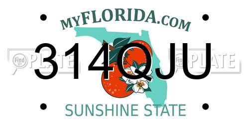 314QJU Florida License Plate