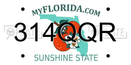 314QQR Florida License Plate