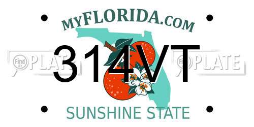 314VT Florida License Plate