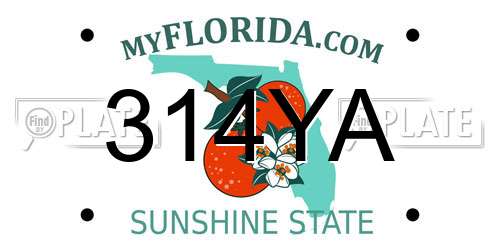 314YA Florida License Plate