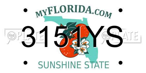 3151YS Florida License Plate