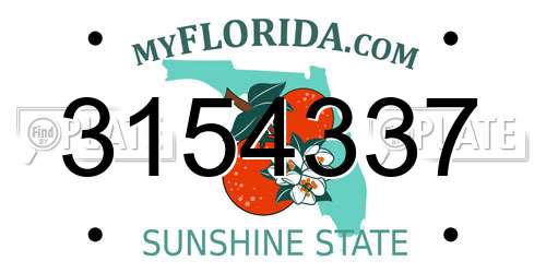 3154337 Florida License Plate