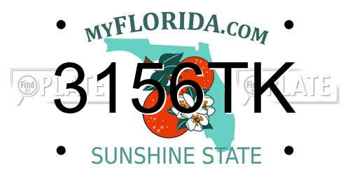 3156TK Florida License Plate