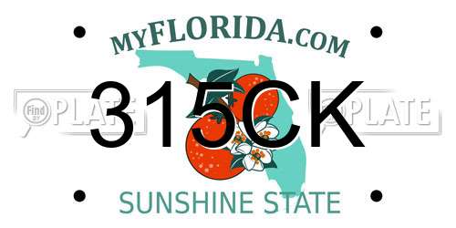 315CK Florida License Plate