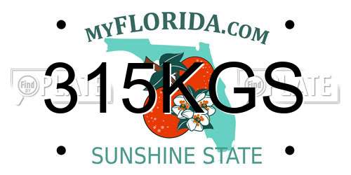 315KGS Florida License Plate