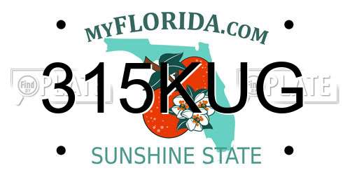 315KUG Florida License Plate
