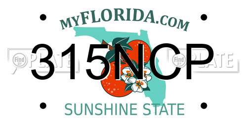 315NCP Florida License Plate