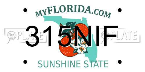 315NIF Florida License Plate