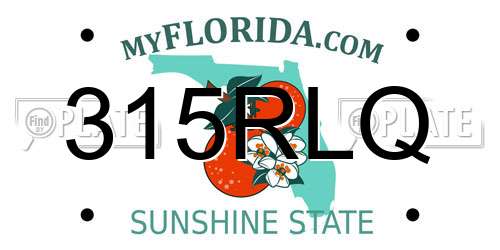 315RLQ Florida License Plate