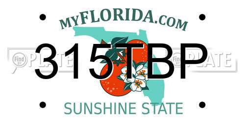 315TBP Florida License Plate