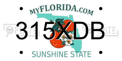 315XDB Florida License Plate