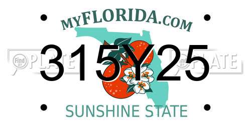 315Y25 Florida License Plate