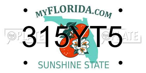 315YT5 Florida License Plate